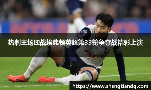 热刺主场迎战埃弗顿英超第33轮争夺战精彩上演